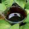 Ayahuasca