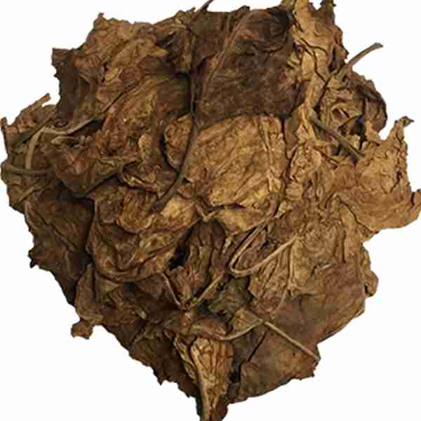 Mapacho - N. Rustica Mapacho-Foglie-nicotiana-rustica