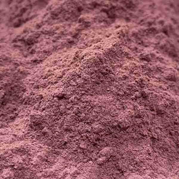 Jurema Preta (Mimosa Hostilis): pianta maestra, origini, simbolismo e rischi mimosa-hostilis-root-bark-plvere-powder