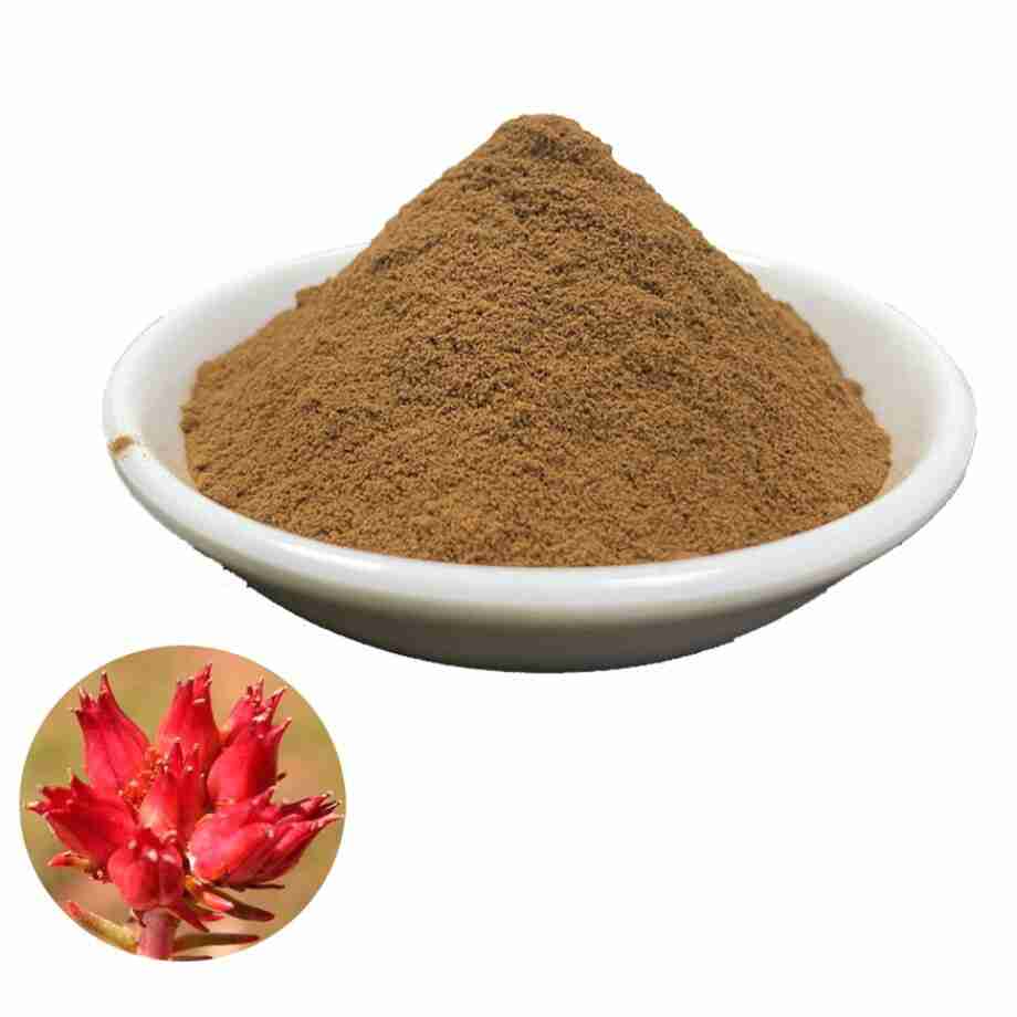 Radice d'oro di Rodiola Rhodiola Rosea Siberiana Essiccata - Trinciata rhodiola rodiola rosea powder