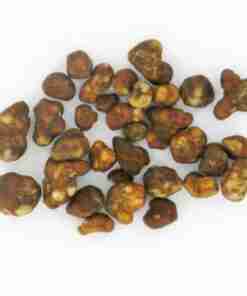 Tartufi Magici Hollandia