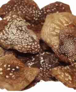 Amanita-Phanterina-Cappelle-Cap-Divin
