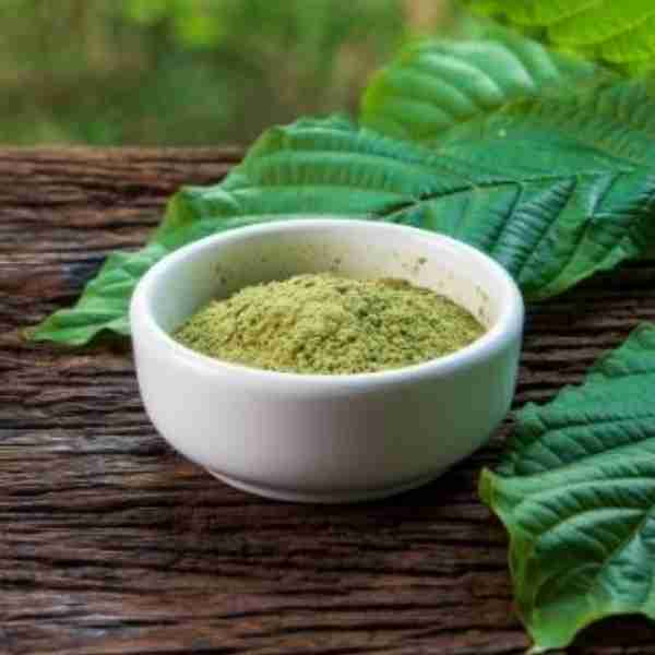 Kratom Bali Green - Mitragyna Speciosa: caratteristiche, utilizzo e limiti realistici Kratom-Green-Maeng-Da-Mitragyna-Speciosa-2