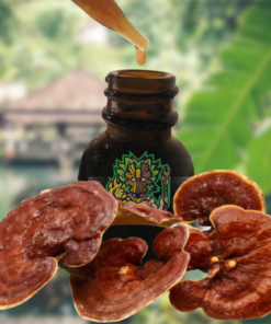 Reishi Ling Zhi