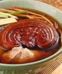 Reishi Ling Zhi (Ganoderma Lucidum) Rosso 100% BIO - Estratto Polvere 5:1 ganoderma Lucidu reishi Ling Zhi(4)