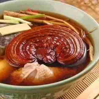 Reishi Ling Zhi (Ganoderma Lucidum) Rosso 100% BIO - Estratto Polvere 5:1 ganoderma Lucidu reishi Ling Zhi(4)