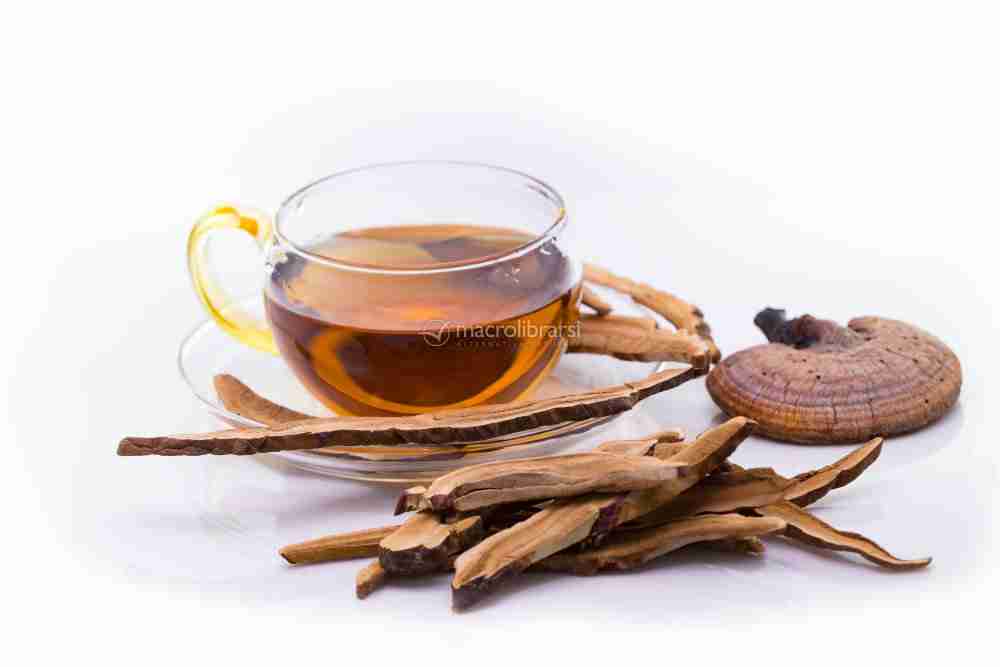 Reishi Ling Zhi (Ganoderma Lucidum) Rosso 100% BIO - Estratto Polvere 5:1 ganoderma Lucidu reishi Ling Zhi(7)
