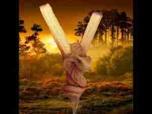 Kuripe Bambu Totem COBRA Amuleto con Pietre potenti: cos'è, origini, effetti e uso consapevole