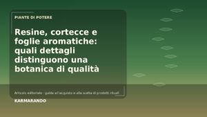 Resine, cortecce e foglie aromatiche: quali dettagli distinguono una botanica di qualità
