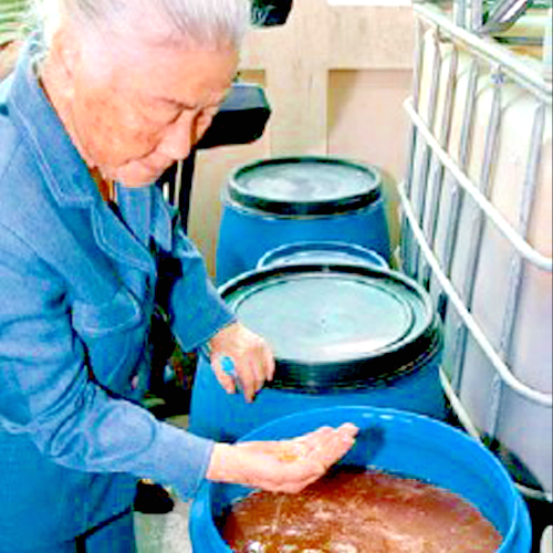 MIX di 13 Fermentati Fervida - 12 anni MIX di 13 Fermentati Fervida - 12 anni - immagine 3