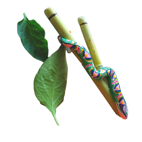 Kuripe Grande Serpente - Mixcolor Primordiale in Bamboo: cos'è, origini, effetti e uso consapevole Kuripe Grande Serpente - Mixcolor Primordiale in Bamboo: cos'è, origini, effetti e uso consapevole