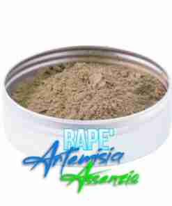Rape Artemisia Assenzio